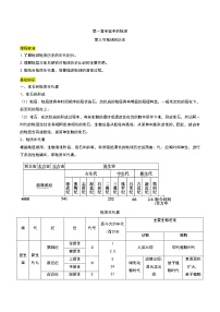 人教版 (2019)必修 第一册第一章 宇宙中的地球第三节 地球的历史教学设计