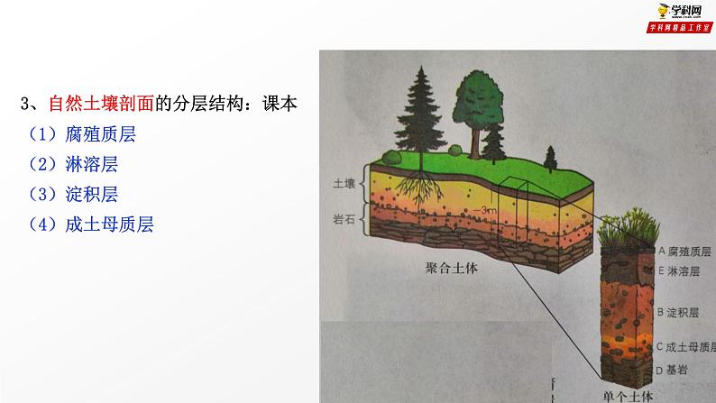 专题3.4 分析土壤形成的原因（课件）-2019-2020学年高一地理必修第一册轻松备课（鲁教版2019）(共39张PPT)08