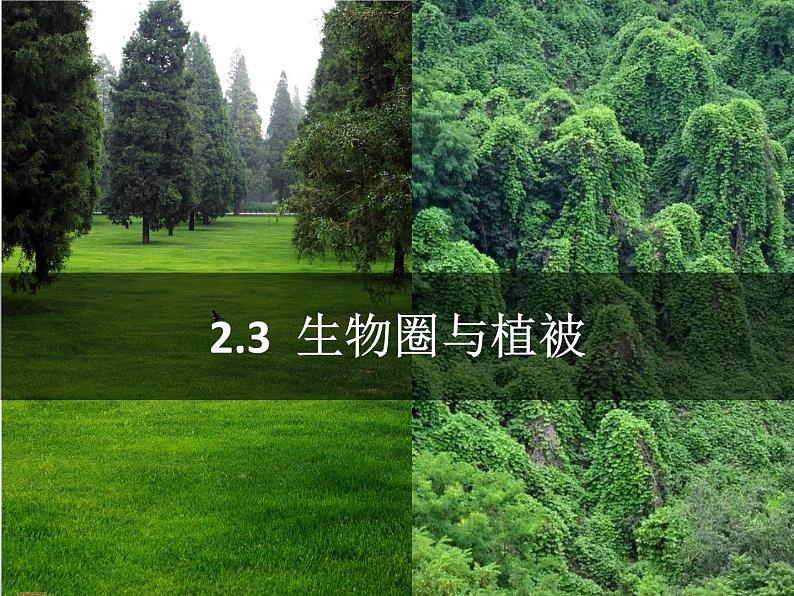 专题2.3 生物圈与植被（课件）-2019-2020学年高一地理必修第一册轻松备课（鲁教版2019）(共55张PPT)01