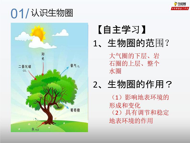 专题2.3 生物圈与植被（课件）-2019-2020学年高一地理必修第一册轻松备课（鲁教版2019）(共55张PPT)03