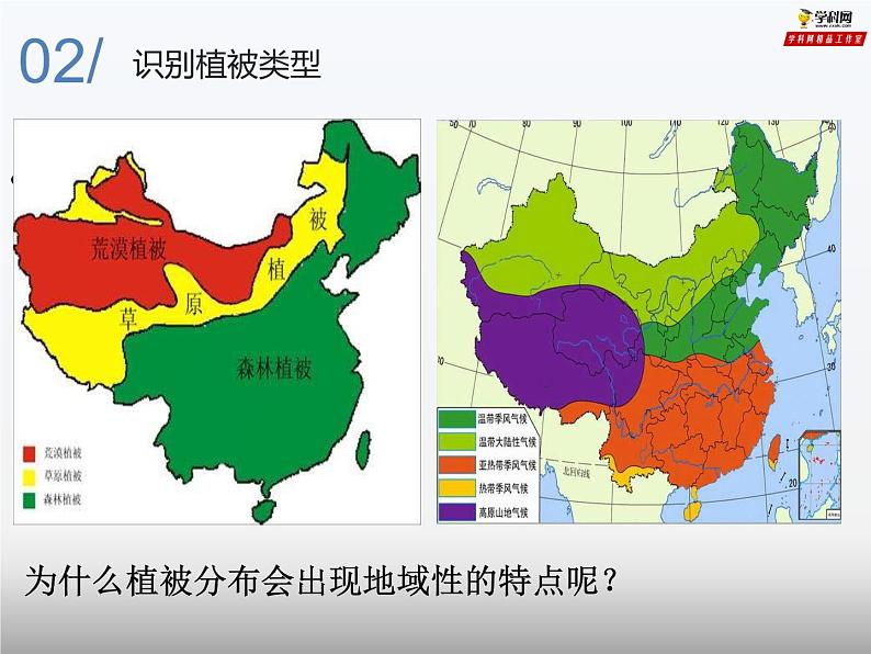 专题2.3 生物圈与植被（课件）-2019-2020学年高一地理必修第一册轻松备课（鲁教版2019）(共55张PPT)07