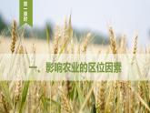 【新教材精创】3.1 农业的区位选择（第1课时）课件（2）-鲁教版高中地理必修第二册(共56张PPT)