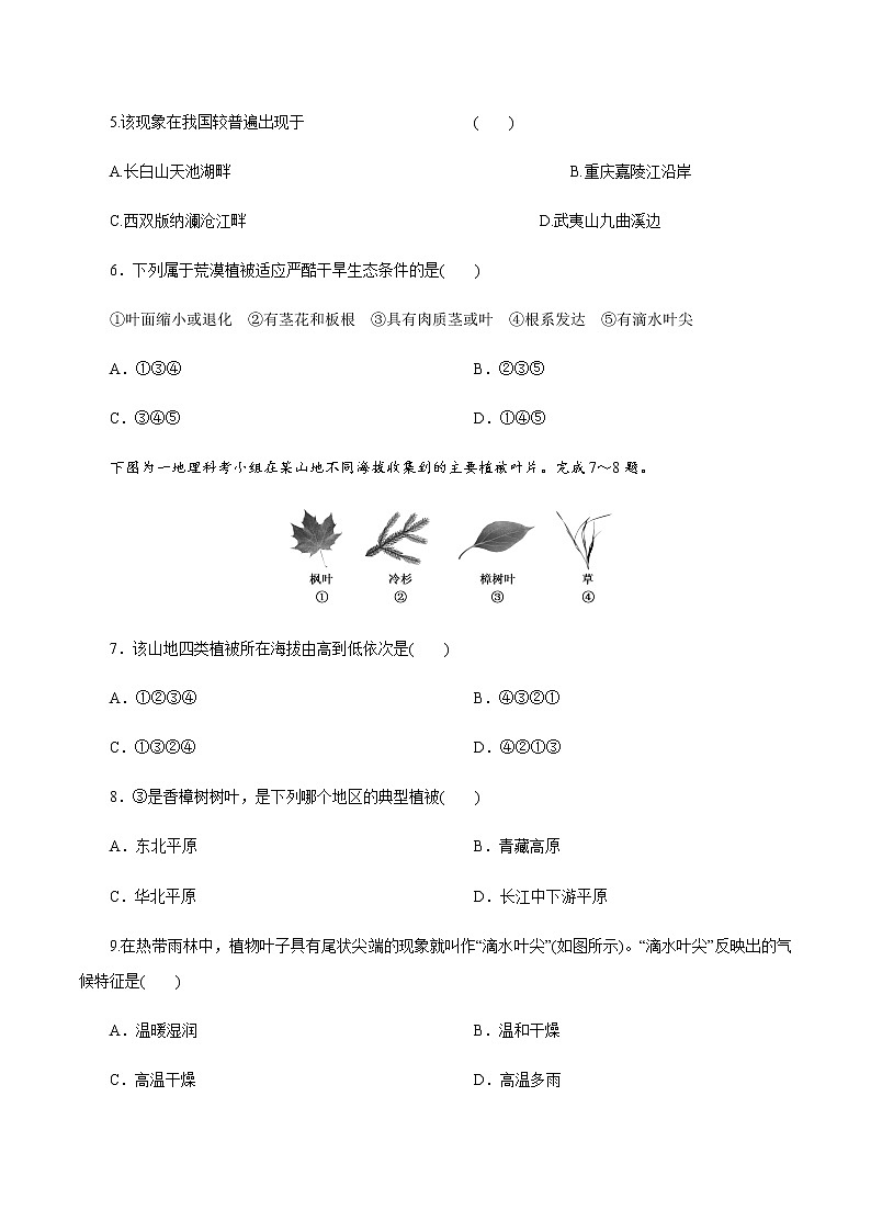 【新教材精创】5.1 主要植被与自然环境同步练习 -湘教版高中地理必修第一册02
