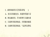 2022届高考地理一轮复习课后集训16植被与土壤课件