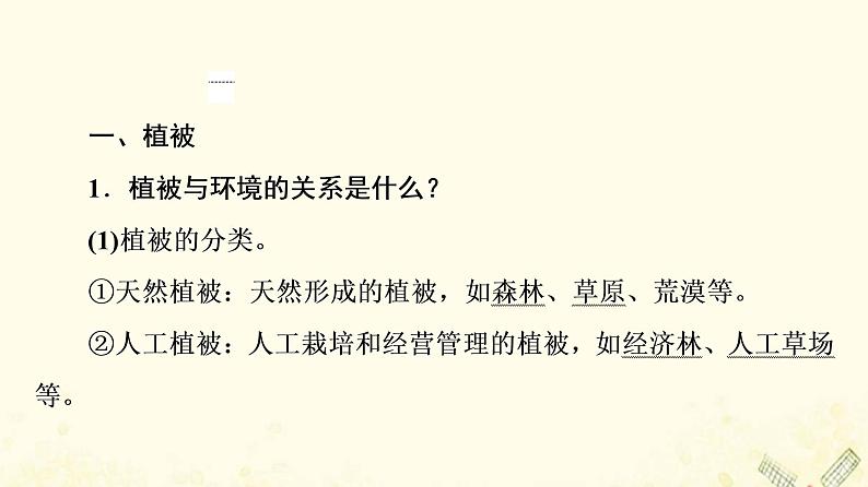 2022届高考地理一轮复习第1部分自然地理第5章第1讲植被与土壤课件05