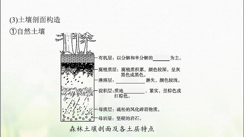 土壤PPT课件免费下载08