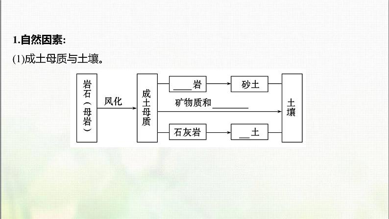 分析土壤形成的原因PPT课件免费下载08