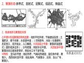 2.3地表形态与人类活动课件（1）课件11湘教版（2019）高中地理选择性必修一