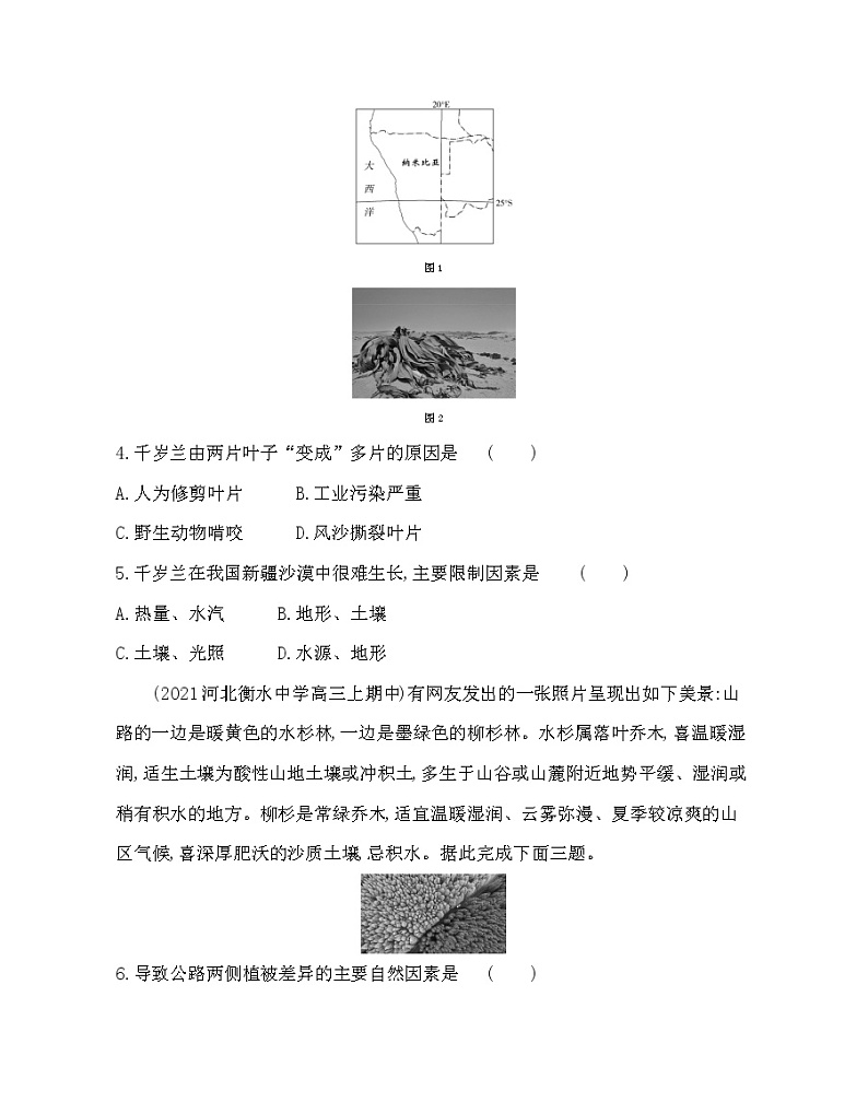 第一节　植被-2022版地理必修第一册人教版（2019） 同步练习 （Word含解析）02