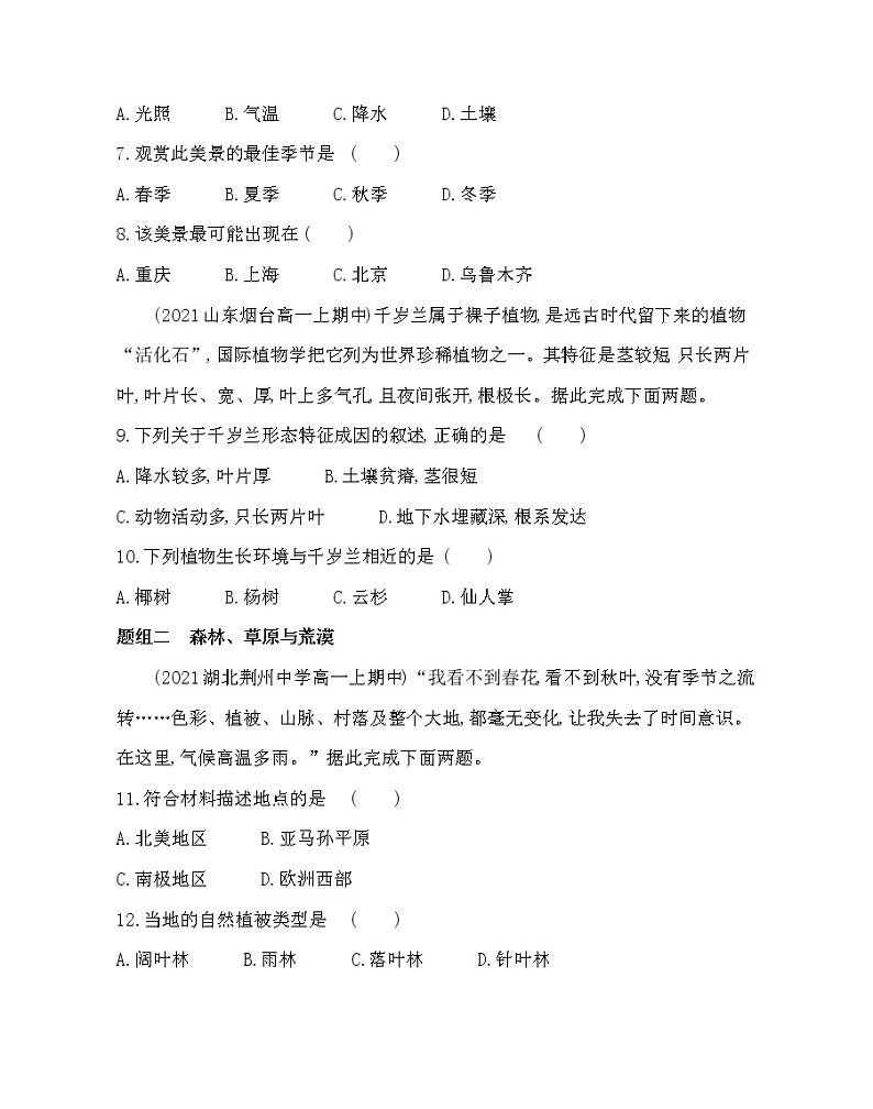 第一节　植被-2022版地理必修第一册人教版（2019） 同步练习 （Word含解析）03