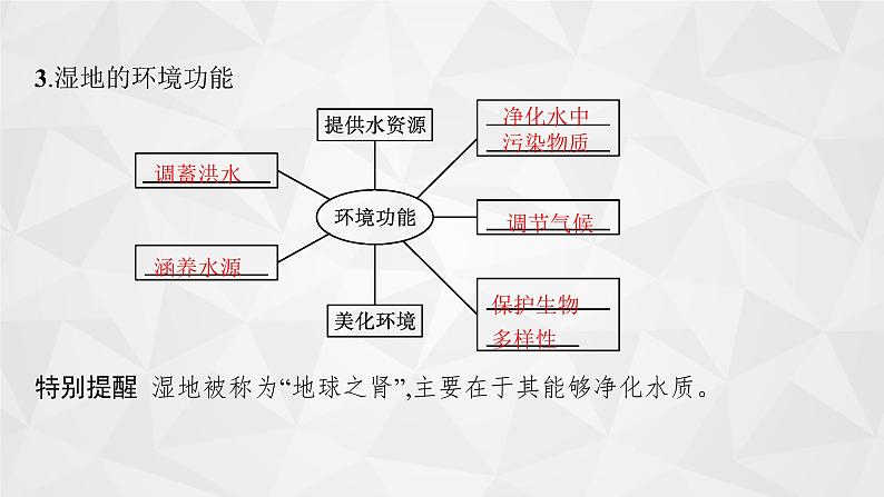 2022届高考地理湘教版一轮总复习  第十二章　第二节　湿地资源的开发与保护(以洞庭湖区为例)  课件第5页