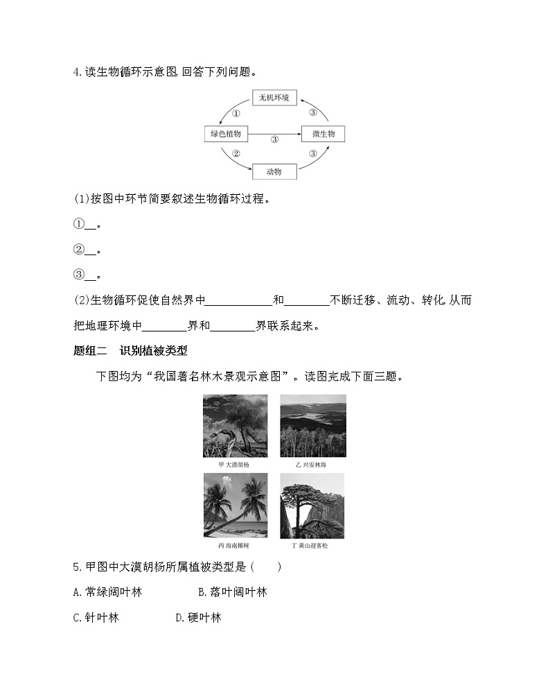 第三节　生物圈与植被-2022版地理必修第一册鲁教版（2019） 同步练习 （Word含解析）02