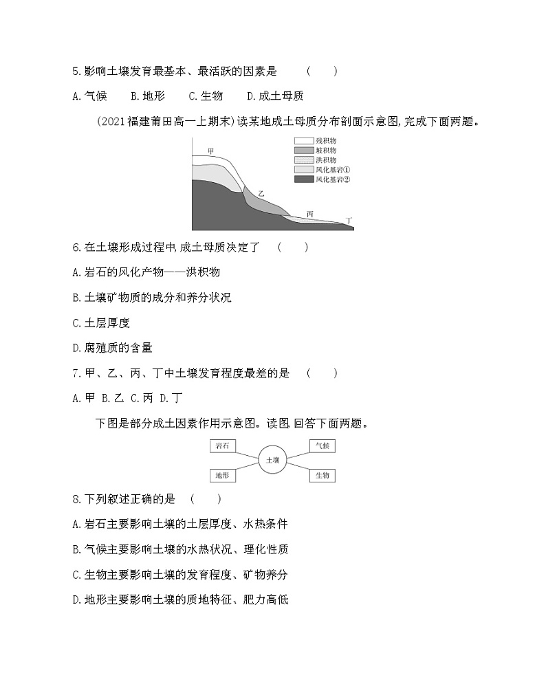 第四节　分析土壤形成的原因-2022版地理必修第一册鲁教版（2019） 同步练习 （Word含解析）02