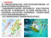 3.3污染物跨境转移与环境安全（第二课时）2021-2022学年湘教版高二地理选择性必修三高效优质课件