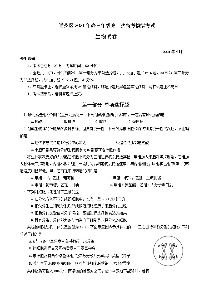 北京市通州区2021届高三下学期4月一模考试（一模）生物试题含答案01