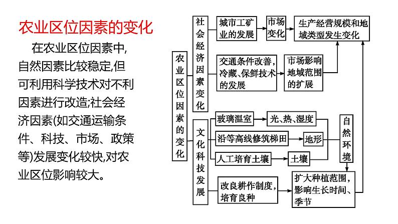 3.1 农业区位因素与农业布局第3课时2022年高二地理下学期必修二（湘教版）课件第5页