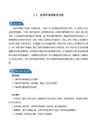 选择性必修3 资源、环境与国家安全第二节 自然资源及其利用教学设计及反思