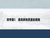 高中地理鲁教版(2019)选择性必修3 资源、环境与国家安全 第一单元 微专题1　提高耕地质量的措施（34张PPT）