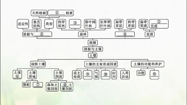 高中地理第五章植被与土壤本章整合课件新人教04