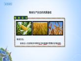 课件 2.3.1 粮食生产安全的资源基础 -高中地理选择性必修3（新教材同步课件）