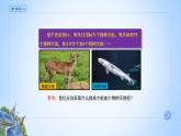 课件 3.3.3 建立自然保护区-高中地理选择性必修3（新教材同步课件）