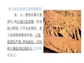 2022中图版2019必修22.4第四节 黄土高原水土流失的治理第2课时（共2课时）33张PPT