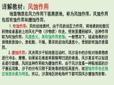 2.2 风成地貌 教材详解 课件-湘教版（2019）必修一地理（33张PPT）