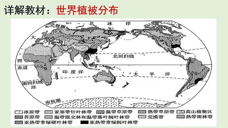 5.1 主要植被与自然环境 教材详解 课件-湘教版（2019）必修一地理（33张PPT）04