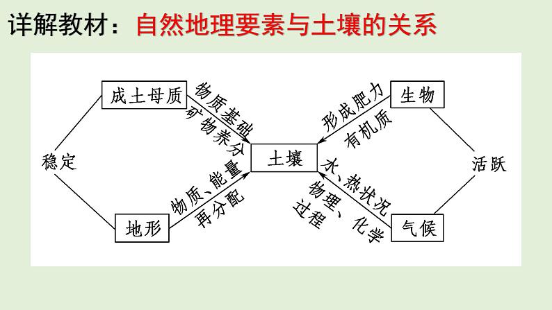 5.2土壤的形成 教材详解 课件-湘教版（2019）必修一地理（3８张PPT）04