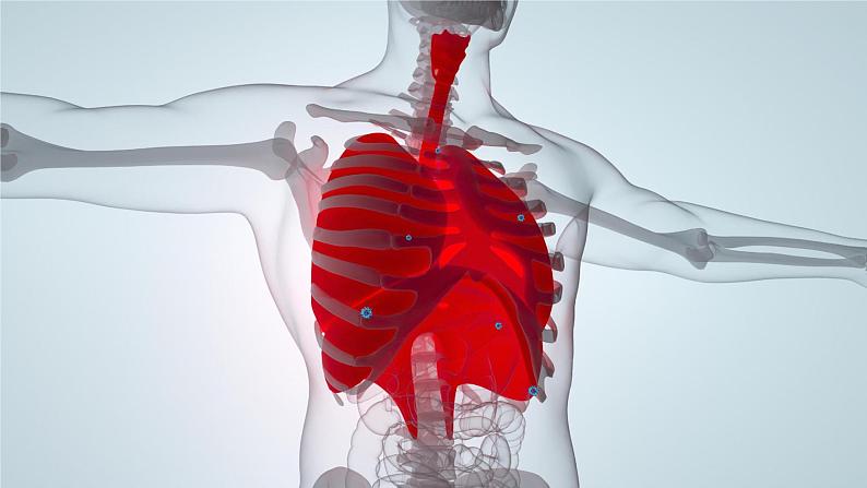 第一章·第二节·人口迁移课件PPT05