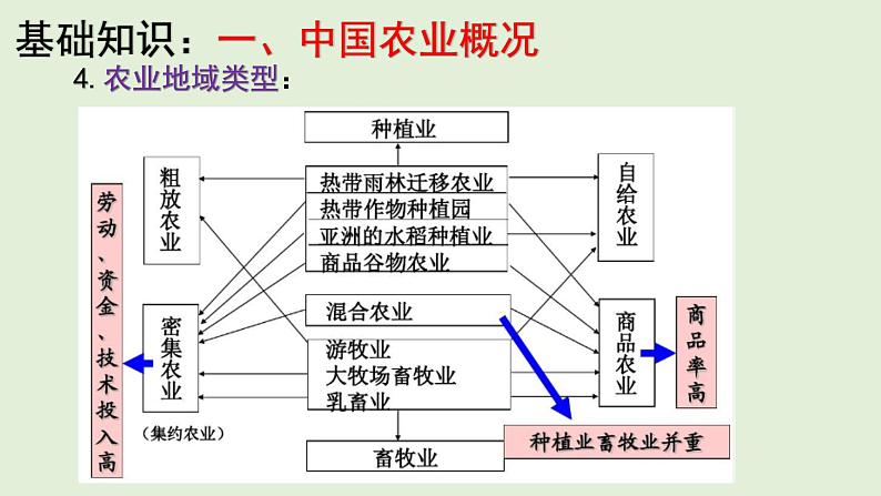 课件28 中国的农业-2022年高考地理之区域地理总复习第5页