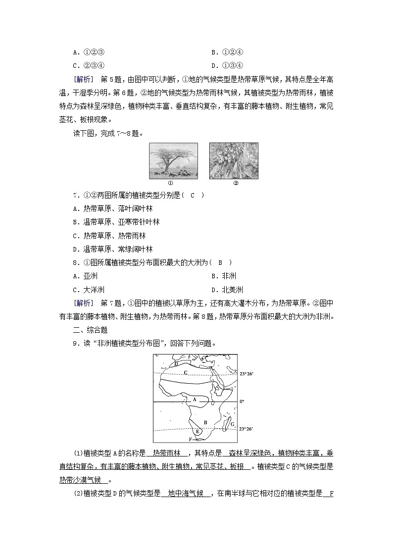 高中地理第5章植被与土壤第1节植被课件新人教版必修第一册03