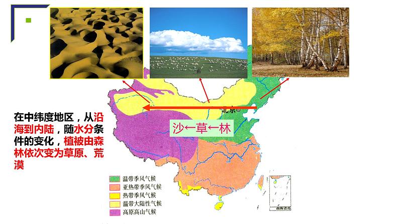 主要植被与自然环境课件PPT05