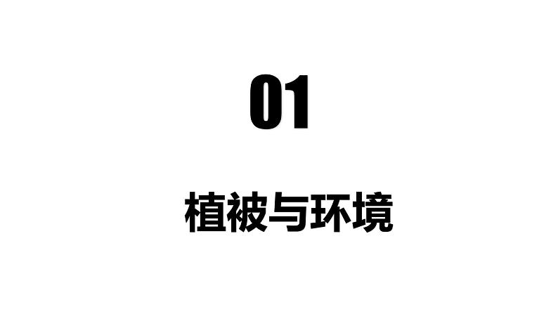 5.1植被-高一地理 课件+同步练习（人教版2019必修第一册）08