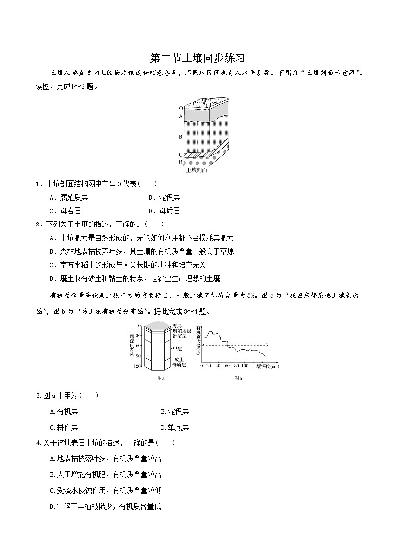 5.2土壤-高一地理 课件+同步练习（人教版2019必修第一册）01