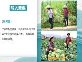 3.1农业区位因素-2020-2021学年高一地理同步优质课件（新教材中图版必修第二册）