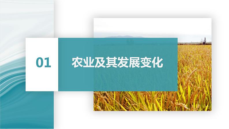 3.1农业区位因素-2020-2021学年高一地理同步优质课件（新教材中图版必修第二册）04