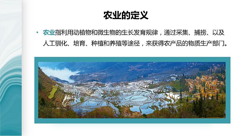 3.1农业区位因素-2020-2021学年高一地理同步优质课件（新教材中图版必修第二册）05