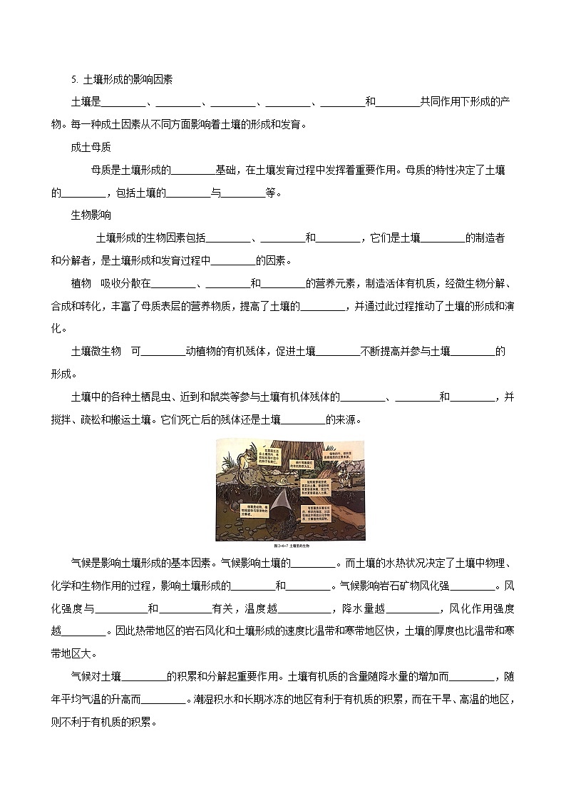 2.6 土壤的主要形成因素导学案（1）-中图版高中地理必修第一册第3页