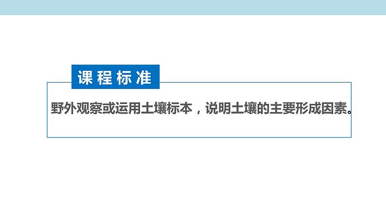 2.6 土壤的主要形成因素课件（1）-中图版高中地理必修第一册(共25张PPT)02