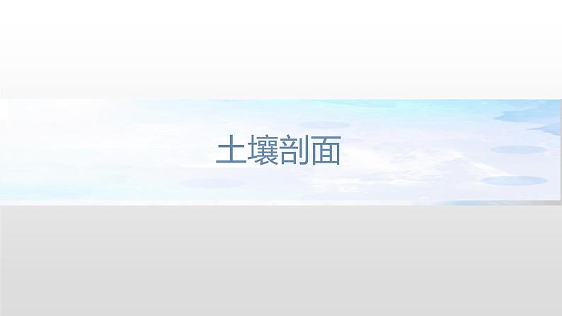 2.6 土壤的主要形成因素课件（1）-中图版高中地理必修第一册(共25张PPT)08