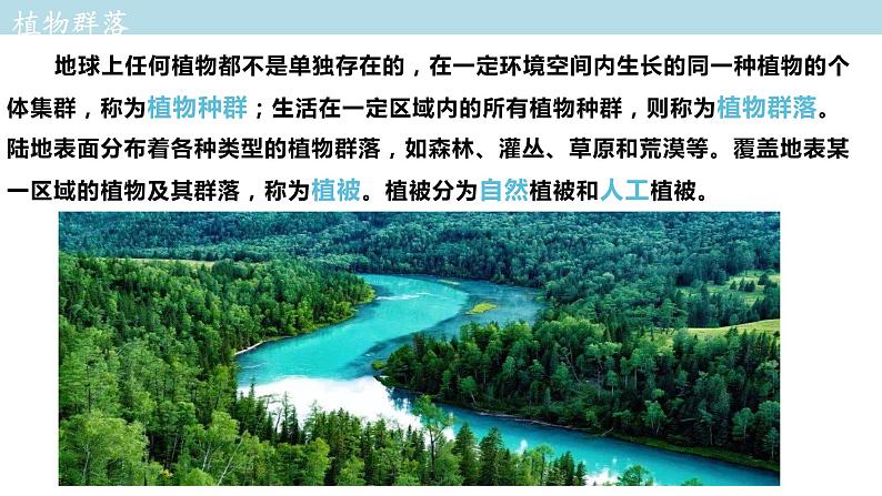 2.7 植被与自然环境的关系课件（1）-中图版高中地理必修第一册(共31张PPT)05