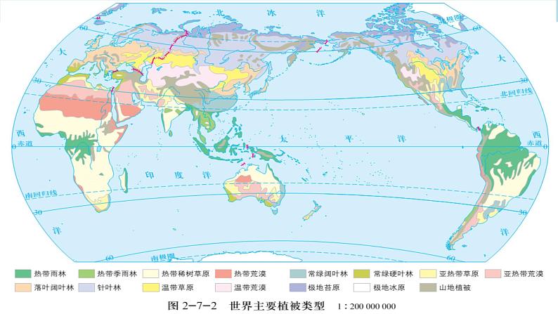 2.7 植被与自然环境的关系课件（1）-中图版高中地理必修第一册(共31张PPT)07