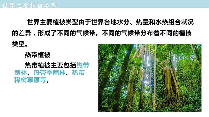 2.7 植被与自然环境的关系课件（1）-中图版高中地理必修第一册(共31张PPT)08