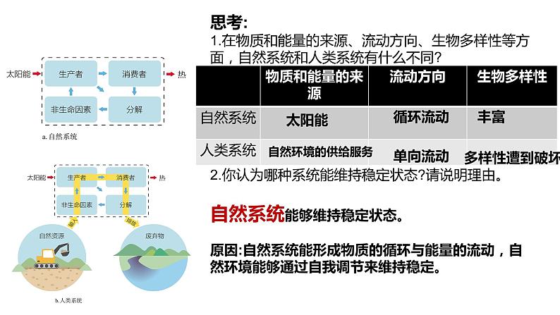 1.3环境问题及其危害课件PPT第7页