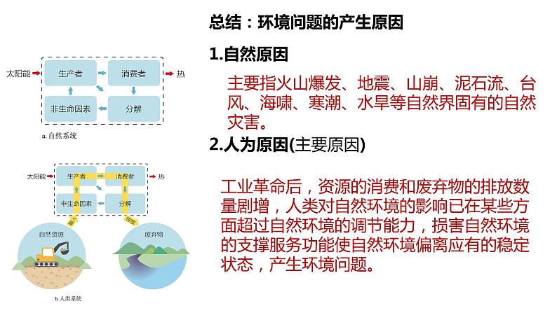 1.3环境问题及其危害课件PPT第8页