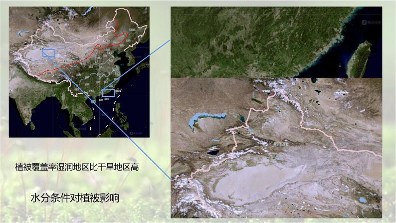 人教版2019高中地理必修一5.1-2 植被（第二课时）森林、草原和荒漠 1课件03