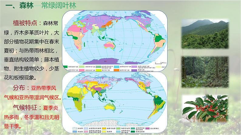 人教版2019高中地理必修一5.1-2 植被（第二课时）森林、草原和荒漠 1课件07