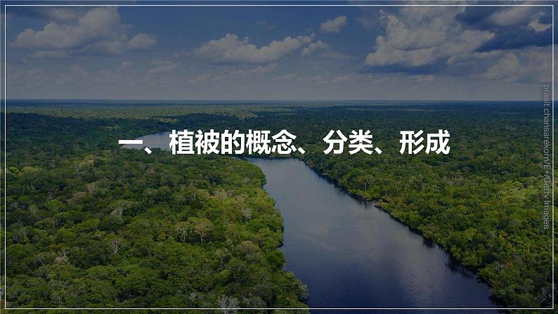 人教版2019高中地理必修一5.1-1植被 第一课时 2 课件04