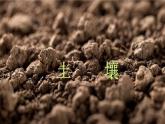 人教版2019高中地理必修一5.2 土壤 第一课时 观察土壤 课件